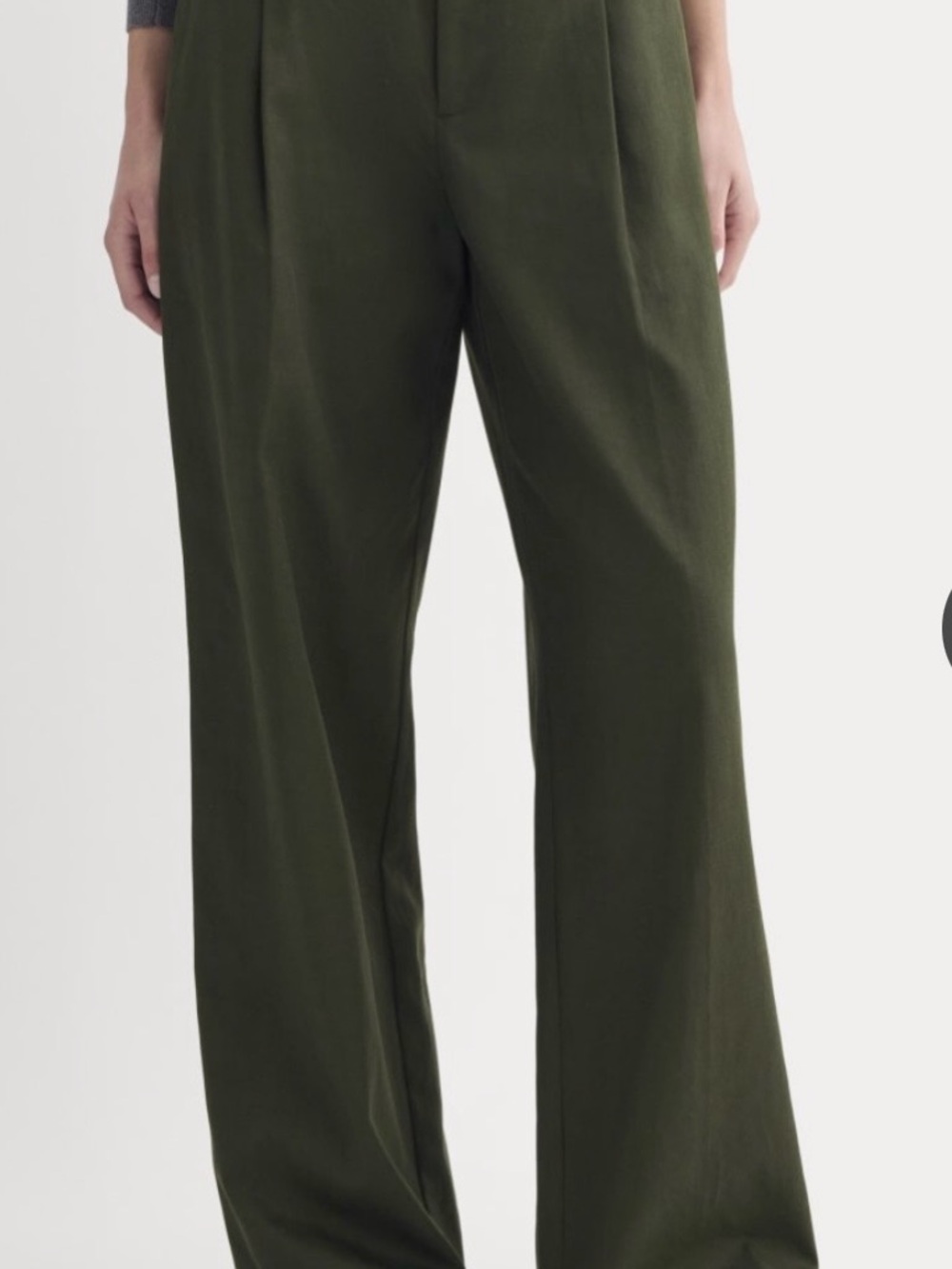 Everlane Buttersmooth Tencel Wide-Leg Trousers in Dark Green